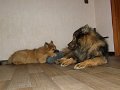rudel (1)